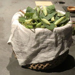 フロリレージュ - 投影　枝豆