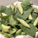 フロリレージュ - 