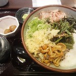 Sojibo 廣島ＮＴＴPASSELA 8F店 - 冷やし山菜とろろそば