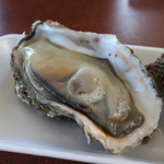 魚売り処　新鮮家 - 岩牡蠣