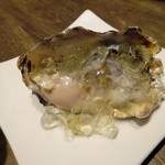 アロッサ - 牡蠣　海藻クリーム　シトラスジュレ