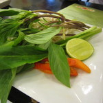 Pho 24 - フォーについてくる、香草♪