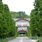 門から玄関までの道