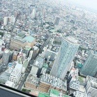 サンシャイン クルーズ・クルーズ - 