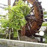 小嶋屋総本店 - 入口横の水車