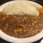 インドのとなり - 豆腐とネギのキーマカレー