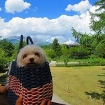 Cafe Gourmand - テラス席のみ　ワンコ同伴出来ます