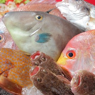 ビストロ ジュン_1