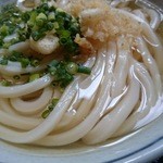 上野製麺所 - 冷かけ　ズーム