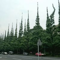 キハチ 青山本店 - 