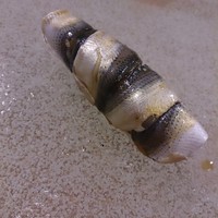 うを徳 - 