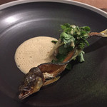 ル スプートニク - 