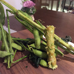 ル スプートニク - 