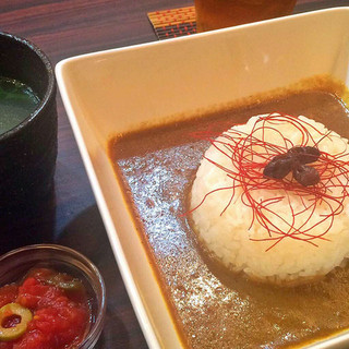 先斗町薬膳カレー_0