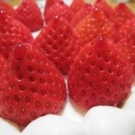 フレンチ パウンド ハウス - 