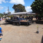 Rays KIAWE BROILED CHICKEN  - 