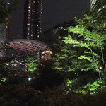 AW ・ELEMENTS - 夜の毛利庭園