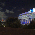 AW ・ELEMENTS - 東京タワーを見るドラエモン