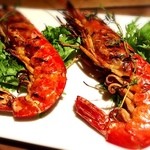 サンクスネイチャー - 