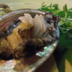 真魚 - 活けアワビの刺身♪