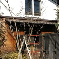 楽の蔵　レストランChez tomo. - 