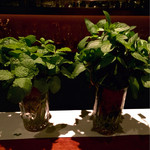 自家製ミン（2015年度）