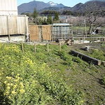 淨心庵 - テラスからの風景。ご自慢のお庭と遠くの山々で目も喜びます