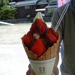 あさむらいちご園 - あさむらいちご園●ｽﾄﾛﾍﾞﾘｰ