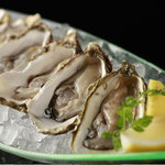 ◆OYSTER PLATE◆