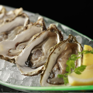 Fresh oysters start from 300 yen per piece