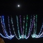 ラーデン - お月さんが輝いていました。