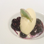 ミシェル・ブラス トーヤ ジャポン - 