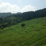 棚田倶楽部 - 青々と美しい８月の棚田