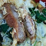 しぶき亭 - かつ丼