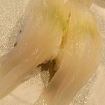 函館 函太郎 紫竹山店 - 生簀いかソーメン