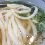 なかむら家 - かけうどん