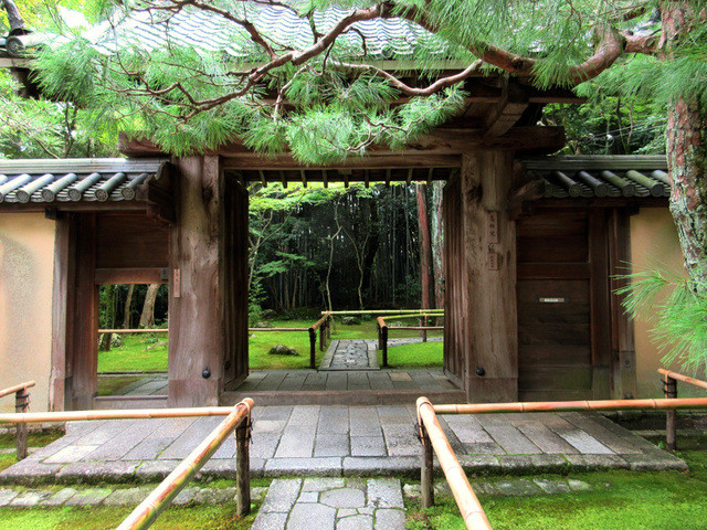 高桐院 - 创建当初という立派な表门(2015.8月)