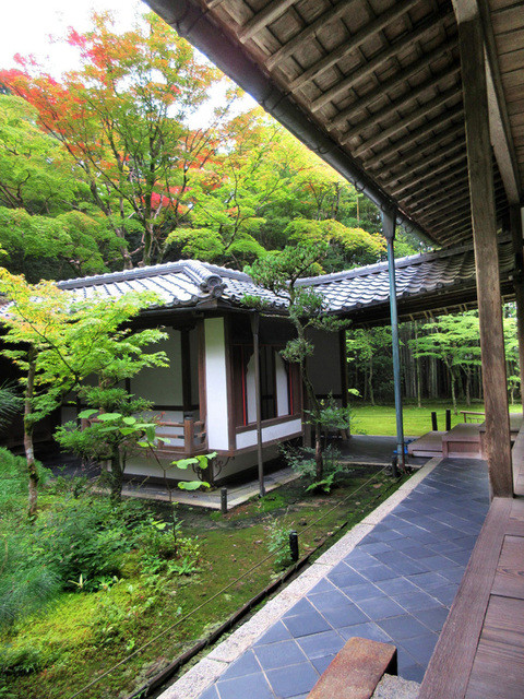 高桐院 - 库里(2015.8月)