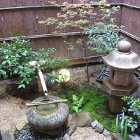 山玄茶 - 店内から見える中庭
