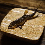 御料理 光安 - 鮎の塩焼き