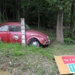 小さな森の喫茶店　レストラン　ワイルドダック - 小さな森の喫茶店　レストラン　ワイルドダック