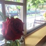 Siam Square - 何故かバラ