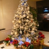 All Day Dining shizuku - 大きなクリスマスツリーがお出迎え。