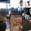 農家うたげ。 三宮店