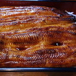 活鰻の店 つぐみ庵 - 鰻重