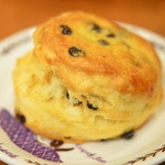 カレルチャペック 吉祥寺本店 - 