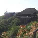 Maruburanshu - 清水寺！