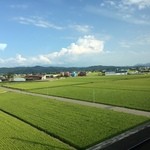 瓢湖屋敷の杜ブルワリー　ザ　レストランスワンレイク - 周りのたんぼ風景です。