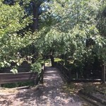 瓢湖屋敷の杜ブルワリー　ザ　レストランスワンレイク - こちらへ行くと五十嵐邸です。