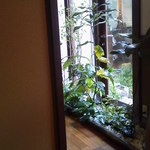 茶苑 - 店内にて